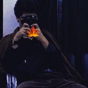 ���������� �������������, ������ ����, 24