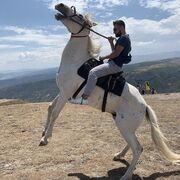 ���������� ��������, ���� ������� �������, 32 ����, ������������ ��� ������, ����� � ���������