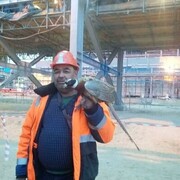  ,   , 56 ,   ,   