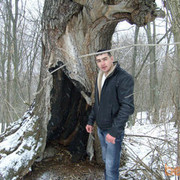  ,  ivan, 37