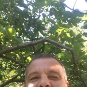  ,   , 49 ,     , c 
