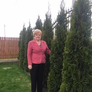 ���������� �����, ���� ������� �������, 73 ����, ������������ 