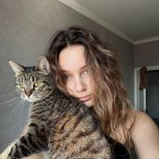 ���������� �����-���������, ���������