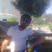  ,   VOLK, 33 ,  