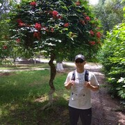  ,   , 51 ,     , c 