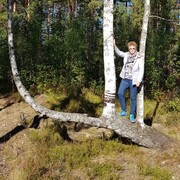 ���������� �����-���������, ���� ������� ������, 65 ���, ������������ ��� c�������� ���������