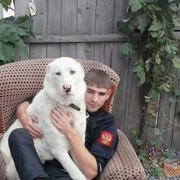  ,   , 34 ,   