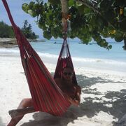 ���������� �������, ���� ������� �����, 36 ���, ������������ ��� ������, ����� � ���������, c�������� ���������