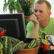  ,   , 59 ,   , 