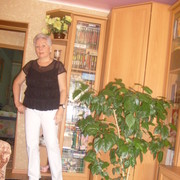  --,   , 66 ,   ,   , c 