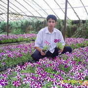 ���������� �������, ���� ������� Farruh, 35 ���, ������������ ��� ������, ����� � ���������, c�������� ���������