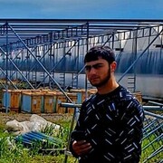  ,  HOVO, 18