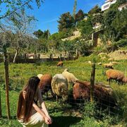 ���������� ������, ���� ������� �����, 27 ���, ������������ ��� ������, ����� � ���������