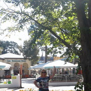 ���������� ��������, ���� ������� ������, 62 ����, ������������ ��� ������, ����� � ���������, c�������� ���������