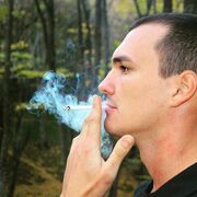 ���������� ������, ���� ������� ������, 29 ���, ������������ ��� ������, ����� � ���������, ���������