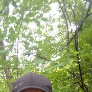  ,   , 44 ,   ,   