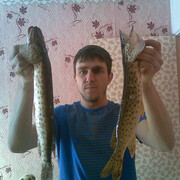  ,   Anton, 38 ,     , c , 