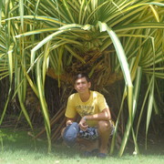 �� ������