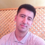 ���������� ������, ���� ������� ��� UZB, 40 ���, ������������ ��� ������, ����� � ���������, c�������� ���������