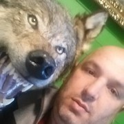 ���������� ������, ���� ������� ����, 41 ���, ������������ ��� ������, ����� � ���������, c�������� ���������