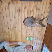 ���������� �������, ���� ������� ������, 49 ���, ������������ ��� ������, ����� � ���������