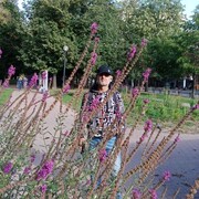  ,   , 51 ,   ,   