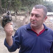 ���������� ������, ���� ������� ����, 52 ����, ������������ ��� ������, ����� � ���������