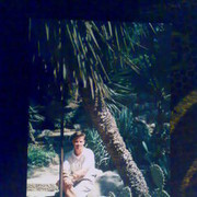  ,   , 51 ,   
