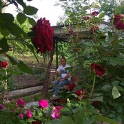 ���������� ������, ���� ������� Armen, 38 ���, ������������ ��� ����� � ���������, c�������� ���������