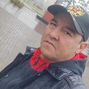 ���������� ���������, ���� ������� �����, 48 ���, ������������ ��� ������, ����� � ���������