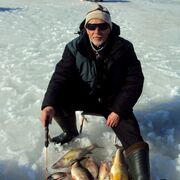 ���������� �����, ���� ������� ������, 66 ���, ������������ ��� ������, ����� � ���������