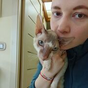 ���������� ������, ���� ������� Alena, 29 ���, ������������ ��� ������, ���������