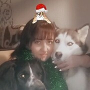  ,   , 43 ,   ,   