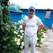 ,   , 54 ,   ,   