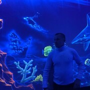 ���������� ������������, ���� ������� ����, 32 ����, ������������ ��� ������, ����� � ���������