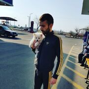 ���������� ������, ���� ������� Vardan, 33 ����, ������������ ��� ������, ����� � ���������