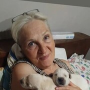 ���������� ����, ���� ������� �����, 67 ���, ������������ ��� c�������� ���������