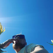 ���������� �����-���������, ���� ������� ������, 38 ���, ������������ ��� ������, ����� � ���������, c�������� ���������