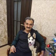  ,   , 55 ,   ,   