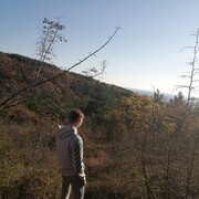 ���������� ���������, ���� ������� ������, 26 ���, ������������ ��� ������, ����� � ���������, c�������� ���������