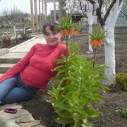 ���������� ������, ���� ������� ����, 53 ����, ������������ ��� ������, ����� � ���������, c�������� ���������