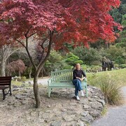 ���������� �������, ���� ������� �����, 46 ���, ������������ ��� c�������� ���������