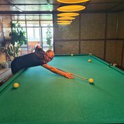 ���������� ������, ���� ������� ���������, 46 ���, ������������ ��� ������, ����� � ���������