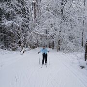 ���������� ��������