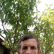 ���������� ���������, ���� ������� ������, 48 ���, ������������ ��� ����� � ���������, c�������� ���������