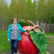  ,   , 52 ,   ,   