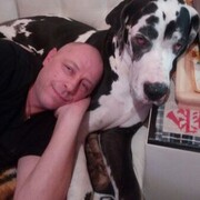 ���������� ������, ���� ������� ������, 49 ���, ������������ ��� ������, ����� � ���������