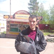 ���������� ��������, ���� ������� �����, 41 ���, ������������ ��� ������, ����� � ���������, c�������� ���������