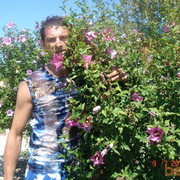 ���������� ����������, ���� ������� �����, 44 ����, ������������ ��� ������, ����� � ���������, c�������� ���������