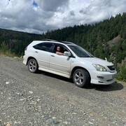 ���������� ������-��-����, ���� ������� ����������, 38 ���, ������������ ��� ������, ����� � ���������